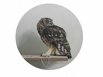 diane mclean contemplation oil on canvas resized