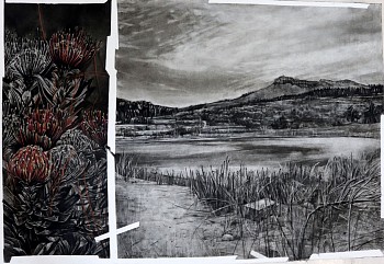 gkac11527 corlie de kock the clay dam is almost empty but the pincussions are in bloom 70 x 100cm charcoal and pastel on fabriano