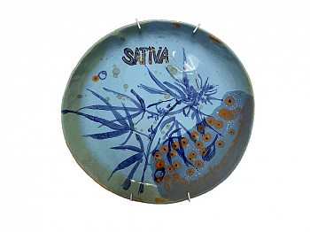 theo kleynhans cannabis sativa gkac