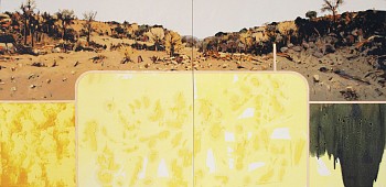 dry riverbed mapungubwe diptych 120 c 200cm