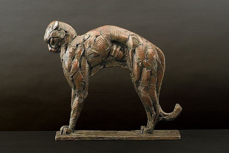 Dylan Lewis, Arching Cheetah (S 194)
bronze