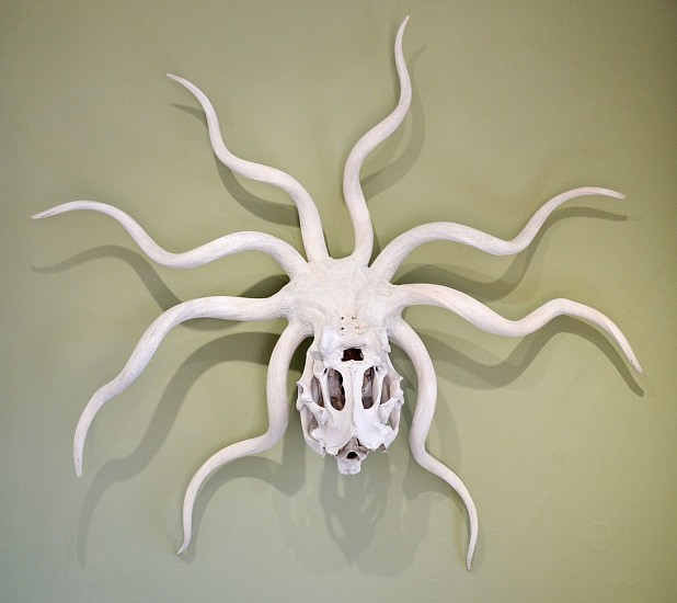 Erinn Straughan, Still Life with Octopus
Kudu and Zebra bone