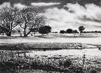 phillemon hlungwani tiko raka hina lero saseka v our beautiful land v charcoal and soft pastel on fabriano paper 107 x 151cm