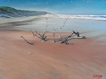 greg schultz drift oil and charcoal on canvas 30 x 40 cm