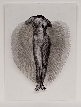 judy woodborne winged venus