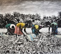 Phillemon Hlungwani, Manana, I wa nkoka eka mina I, Mother, you are so special to me I, charcoal and soft pastel on Fabriano paper, 151 x 161cm edited