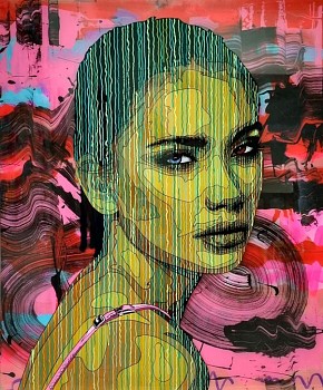 norman o flynn portrait of the klein karoo i acrylic on plexiglass