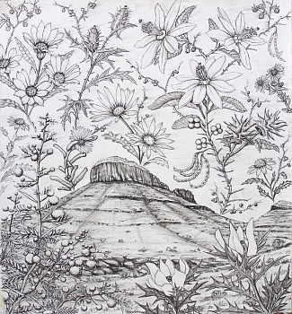 1 botanical sky three sisters 115 x 105cm charcoal on paper