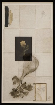 shany van den berg morning pages at my table mixed media 119 x 60cm gkcp5636