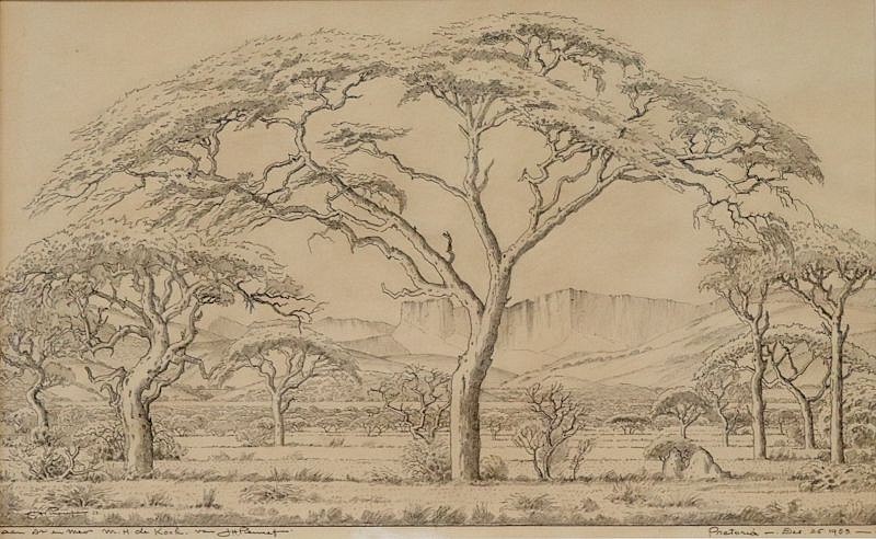 JH Pierneef, Sketch of an Extensive Bushveld Landscape
pencil on paper