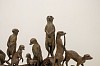 robert leggat meerkat family bronze edition ap 59 x 110 x 20 cm detail