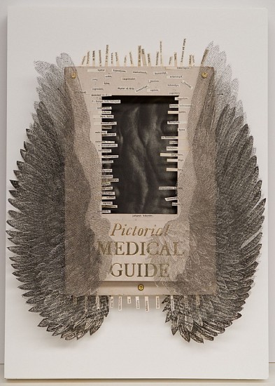 Judy Woodborne, The pillow book- Masculine
altered book paper sculpture