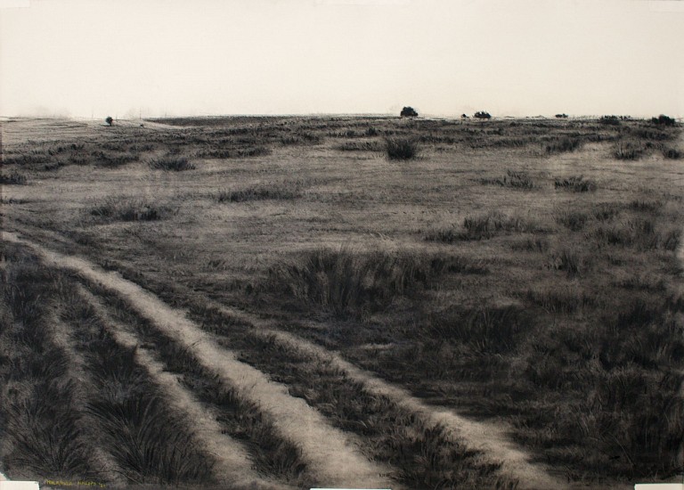 Nhlanhla Nhlapo, Landscape #16
charcoal on paper