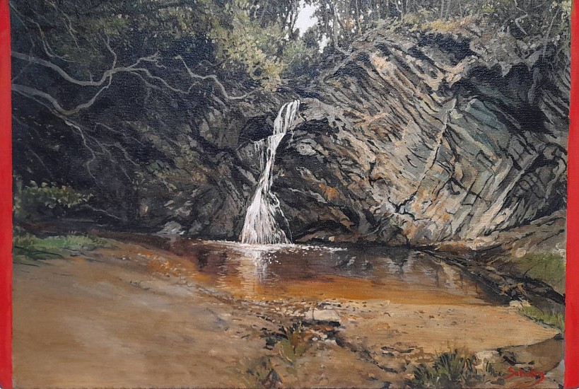 Greg Schultz, After the Rain (Tsitsikamma)
oil on canvas