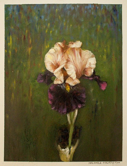 Nhlanhla Nhlapo, Iris
oil on canvas paper