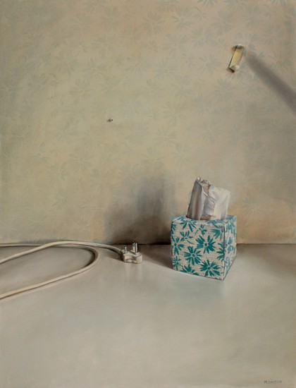 Michele Davidson, Studio 2, Tissue Box and Plug
oil on board