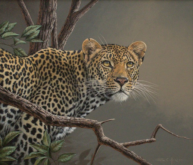 Fuz Caforio, Leopard
oil on canvas