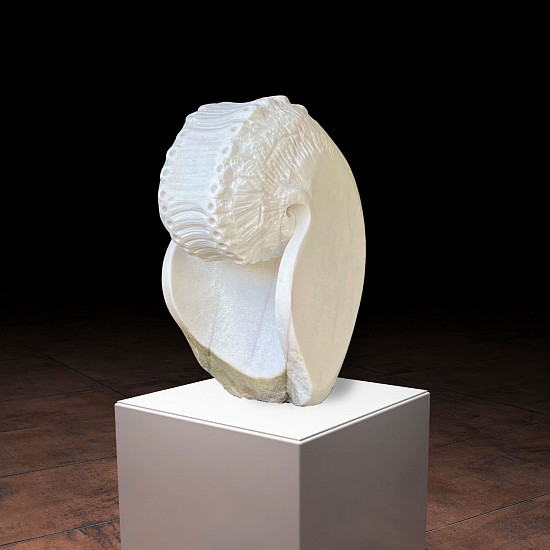 Richard Forbes, Nautilus Sound
carrara marble