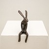 guy du toit daydreaming hare gkac