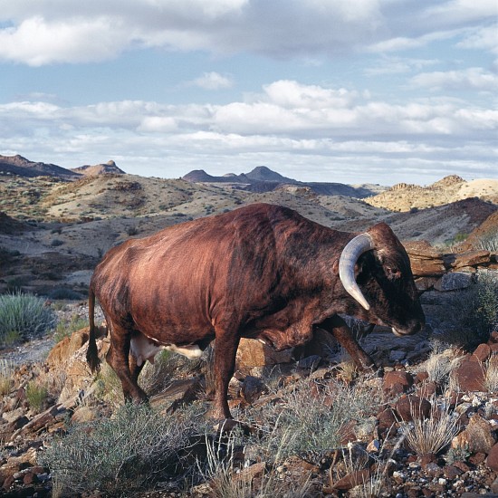 Daniel Naude, Untitled. Vredesvallei, Riemvasmaak District, Northern Cape
pigment print on archival paper