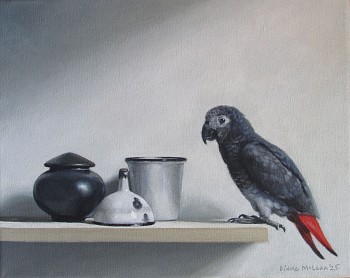 still life with african grey