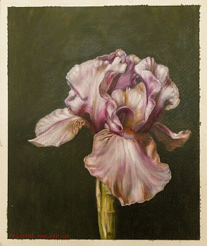 nhlanhla nhlapo purple iris