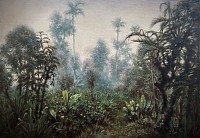 picture eden