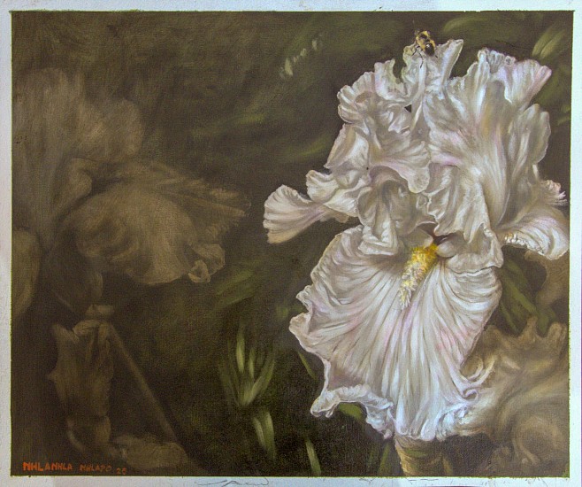 Nhlanhla Nhlapo, Iris I
oil on canvas paper