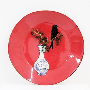 lisa ringwood fortailed drongo on an acacia branch ceramic gkcp