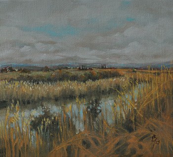 15 olifantsrivier elephant s river.jpeg