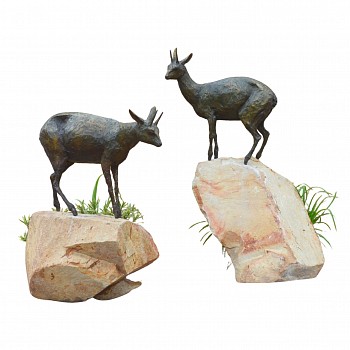 brendan leggat klipspringers gkac