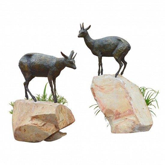 Brendan Leggat, Klipspringers
bronze