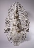 04.1 verticillata 2026 hand built stoneware ceramics 78 x 45 x 30 cm