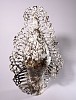 01.1 namaqua karkay 2026 hand built stoneware ceramics 66 x 45 x 25 cm
