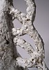 02.5 stapelia 2026 hand built stoneware ceramics 75 x 37 x 30 cm