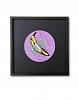 bananarama tape that andy nicki friedlein