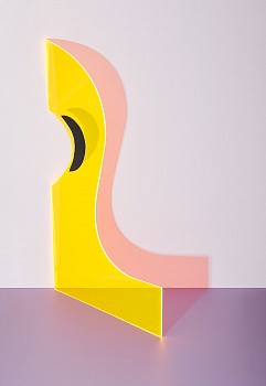 yellows shoot04