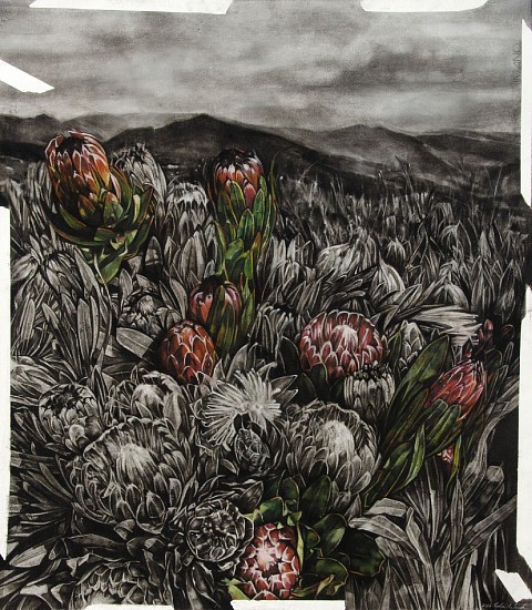 Corlie De Kock, A Postcard From The Cape
charcoal & pastel on fabriano paper