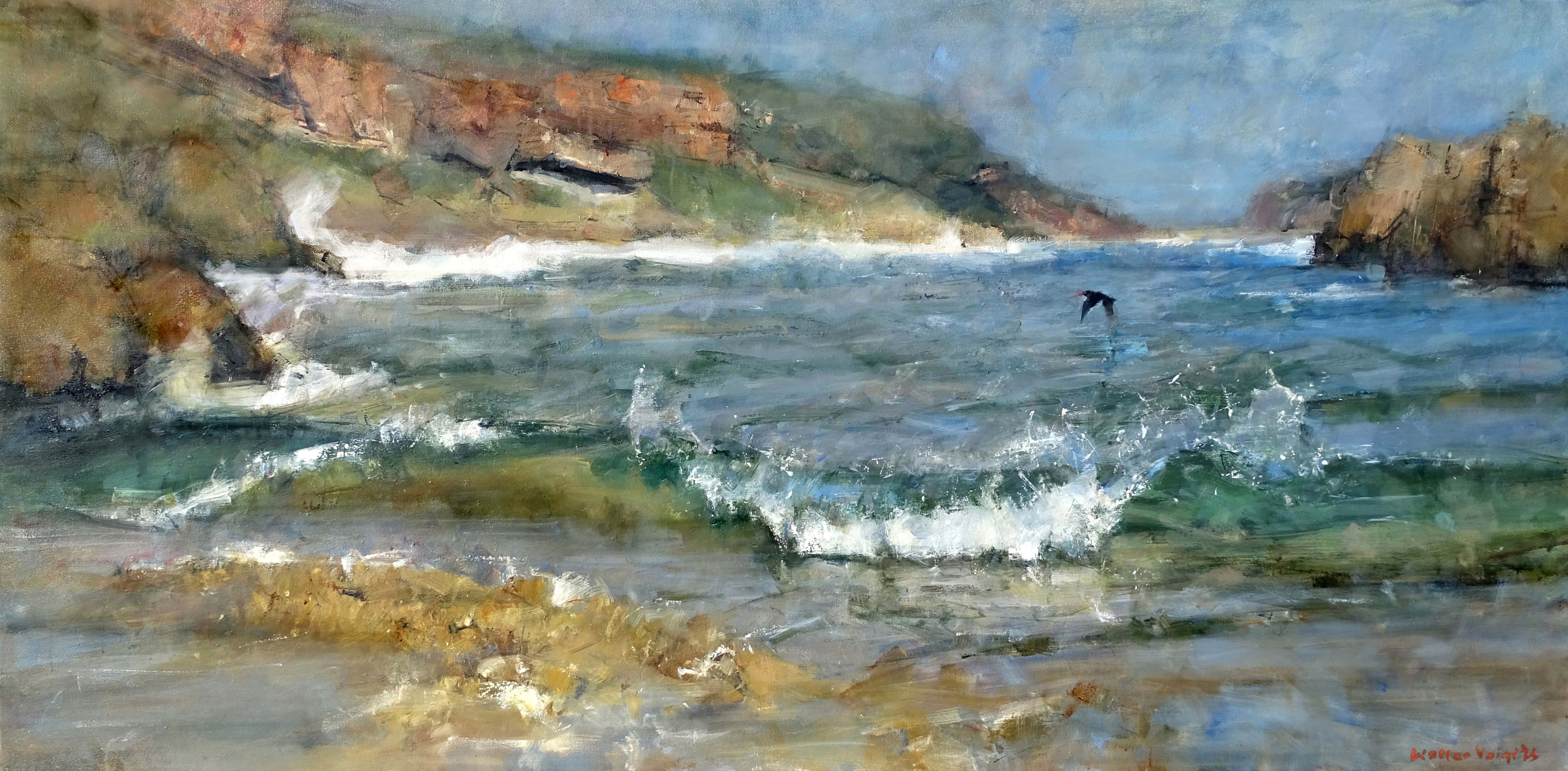 Robberg Shoreline with Oyster Catcher